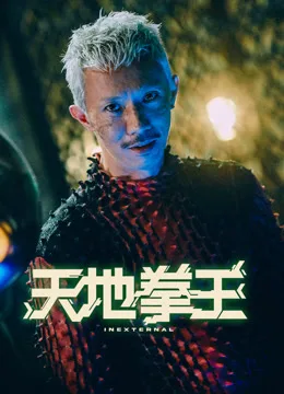天地拳王粤语
